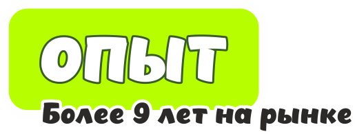 Опыт